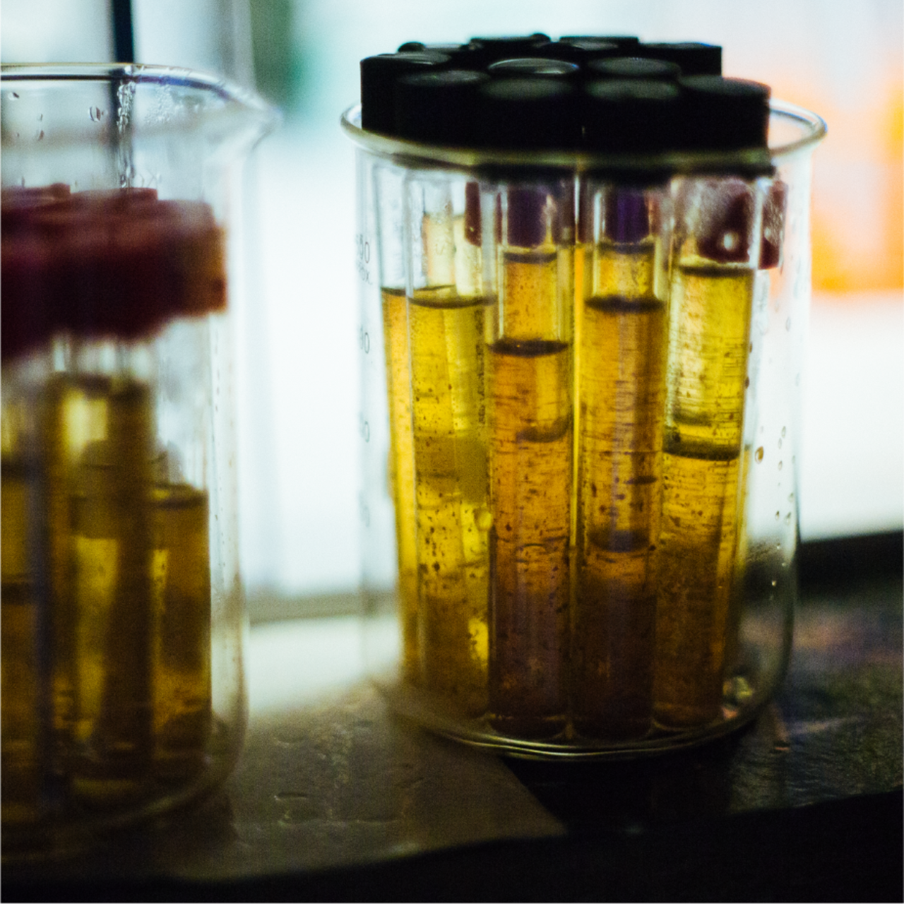 This image needs an alt tag.