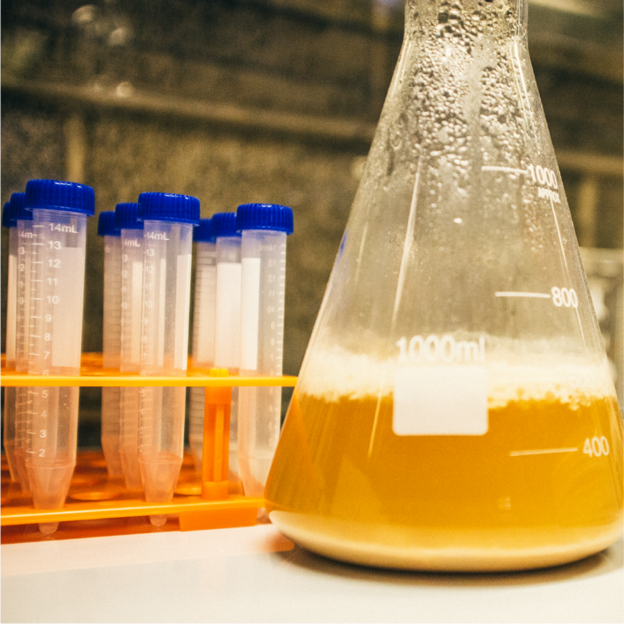 This image needs an alt tag.