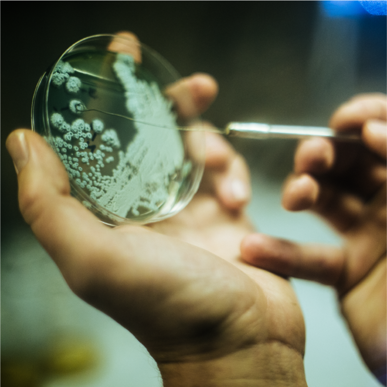 This image needs an alt tag.