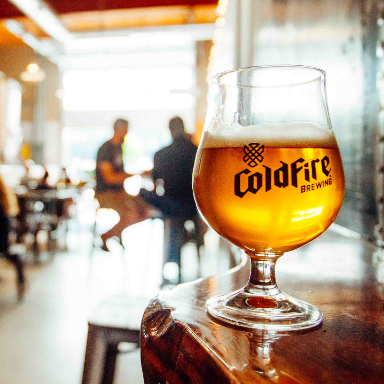 This image needs an alt tag.