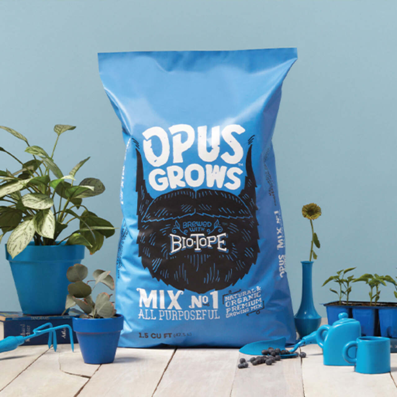 This image needs an alt tag.