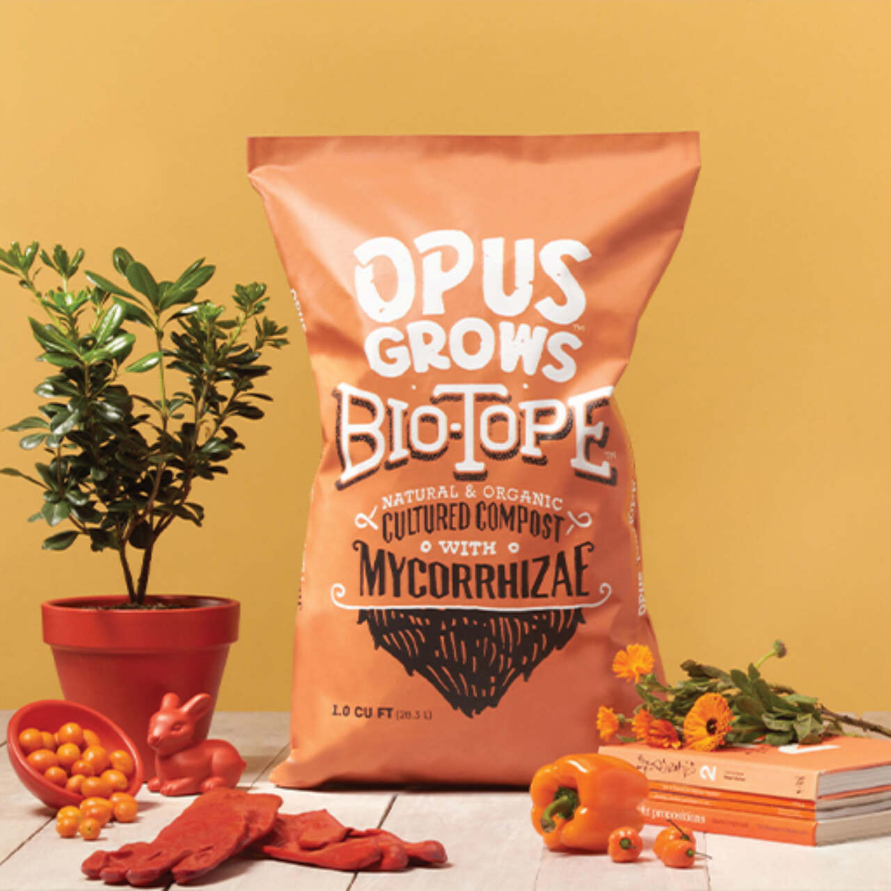 This image needs an alt tag.