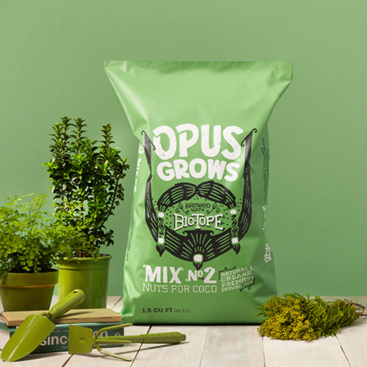 This image needs an alt tag.