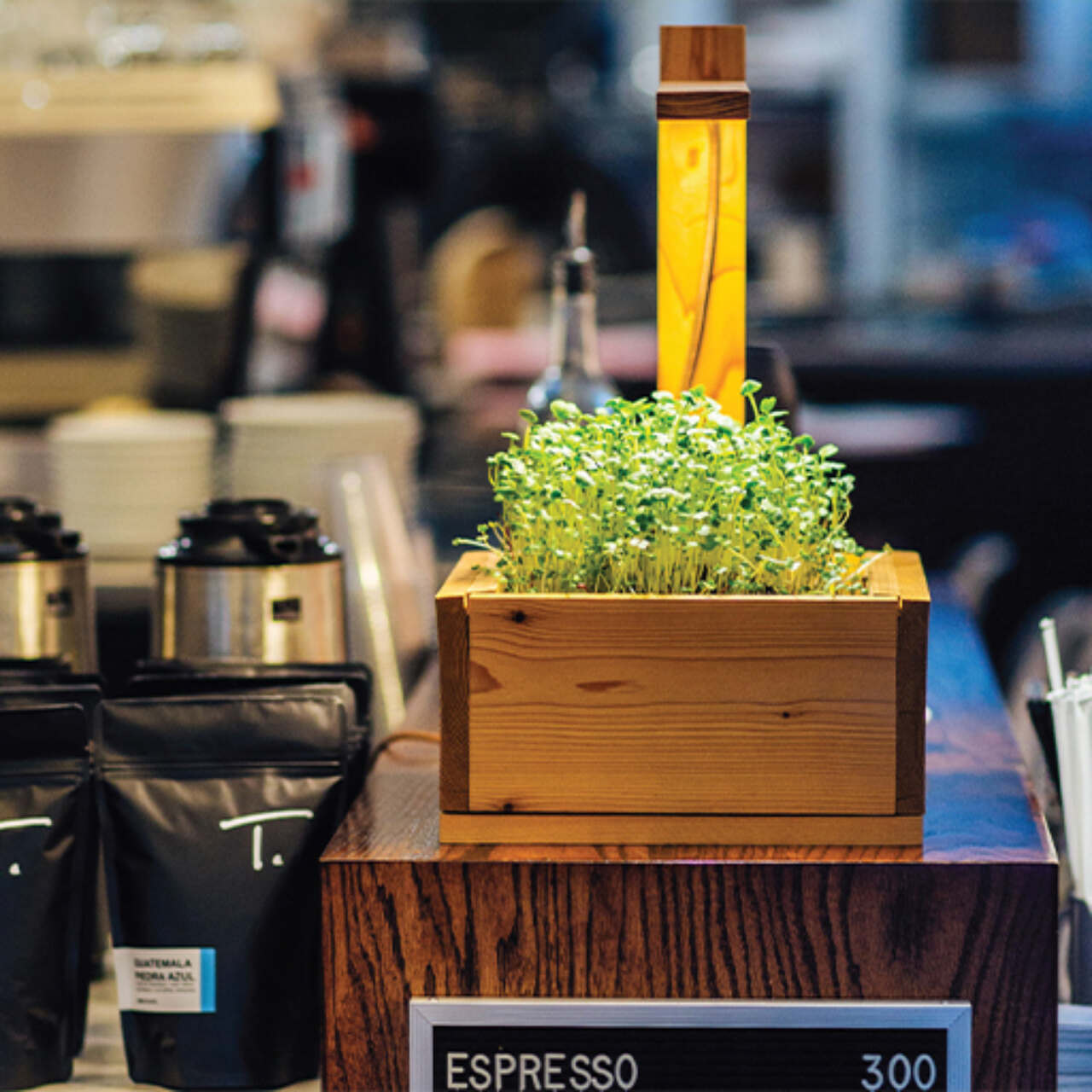 This image needs an alt tag.