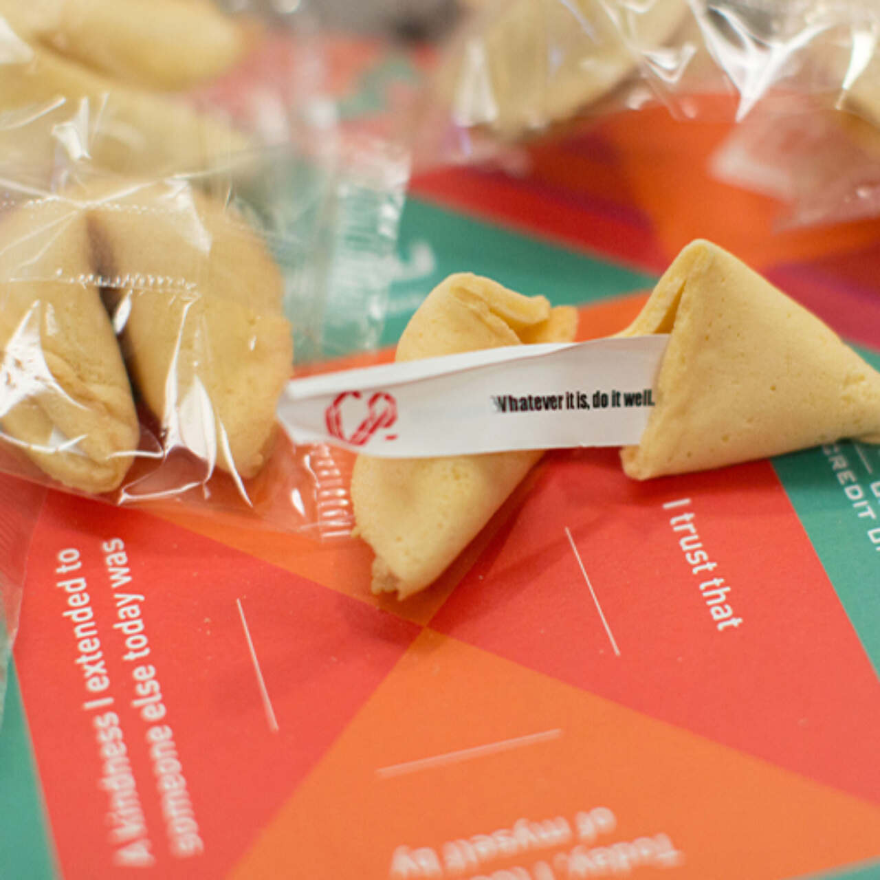 This image needs an alt tag.