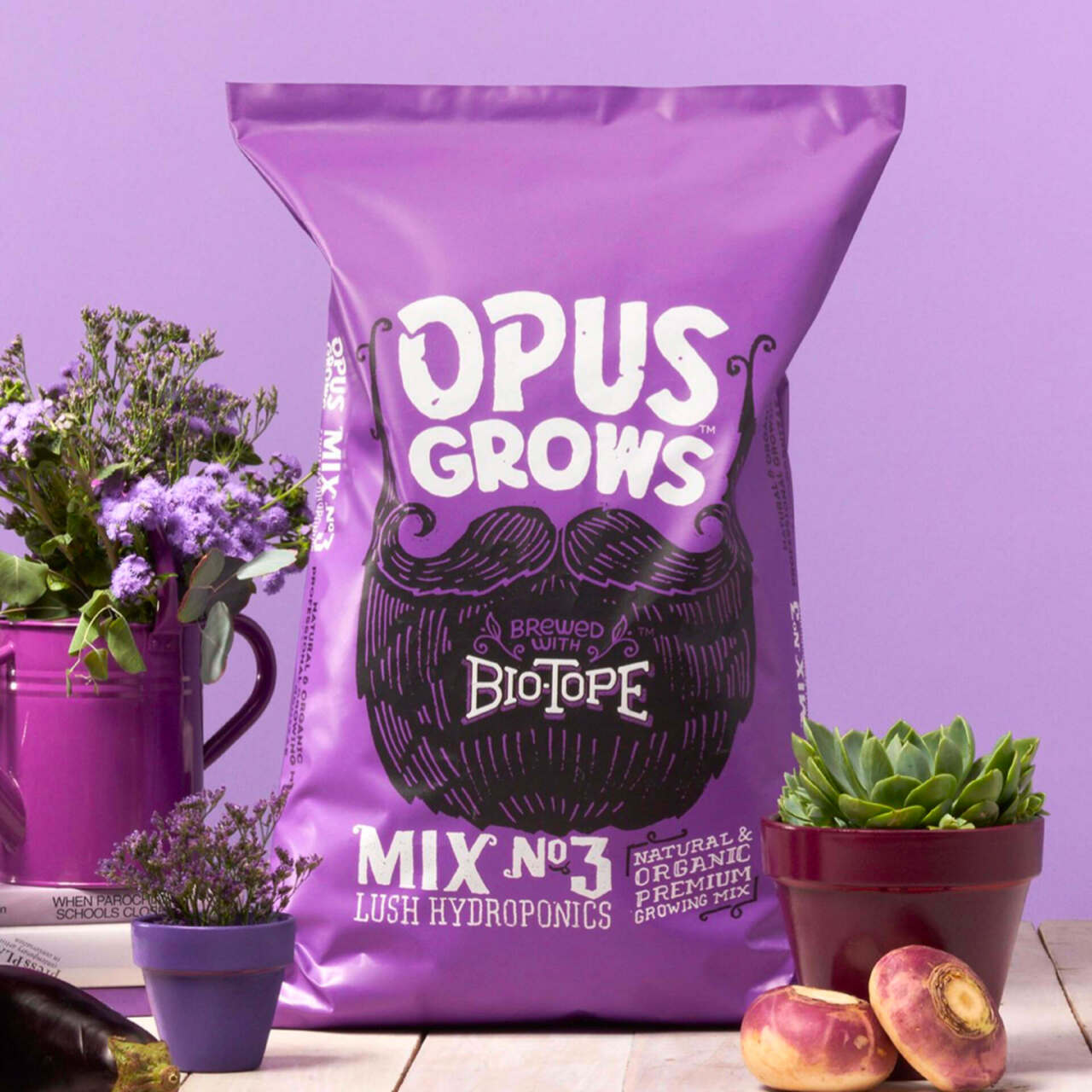 This image needs an alt tag.