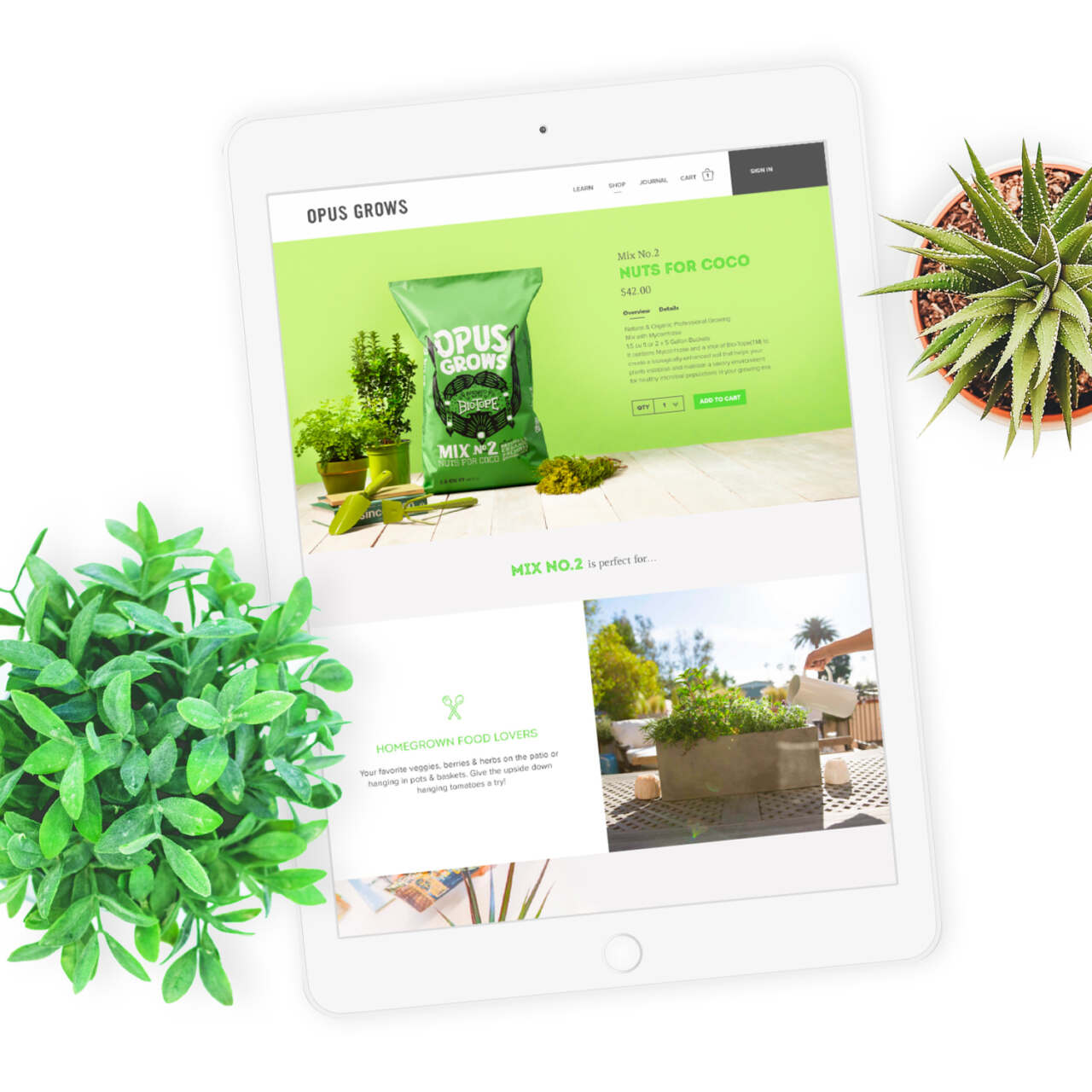 This image needs an alt tag.