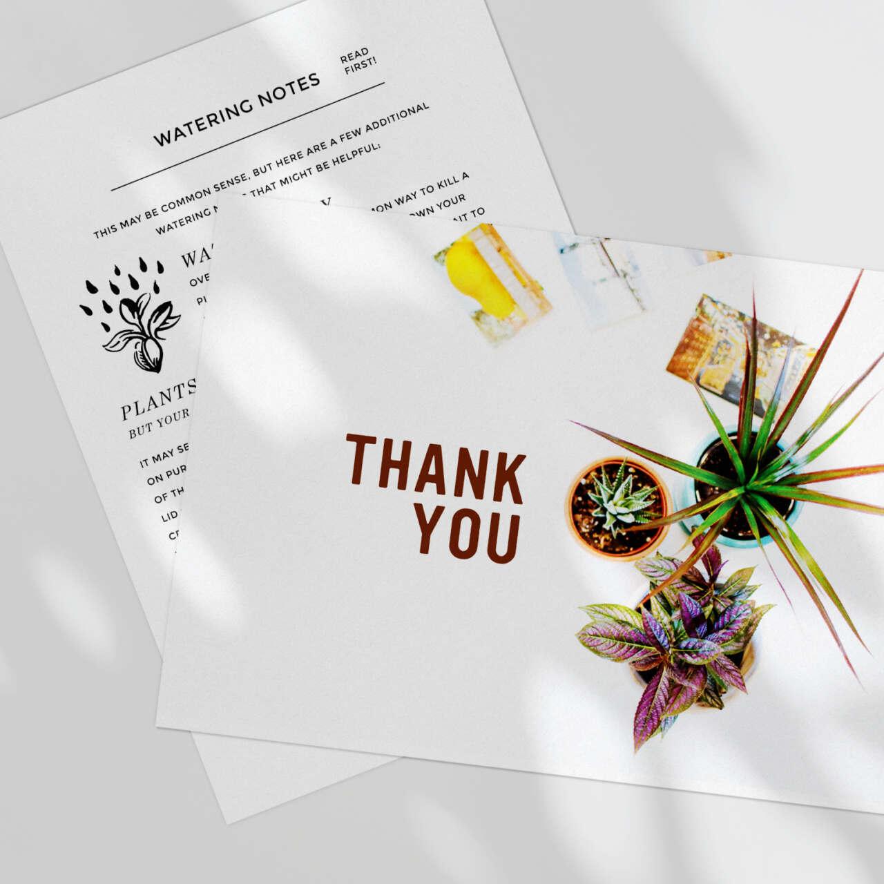 This image needs an alt tag.