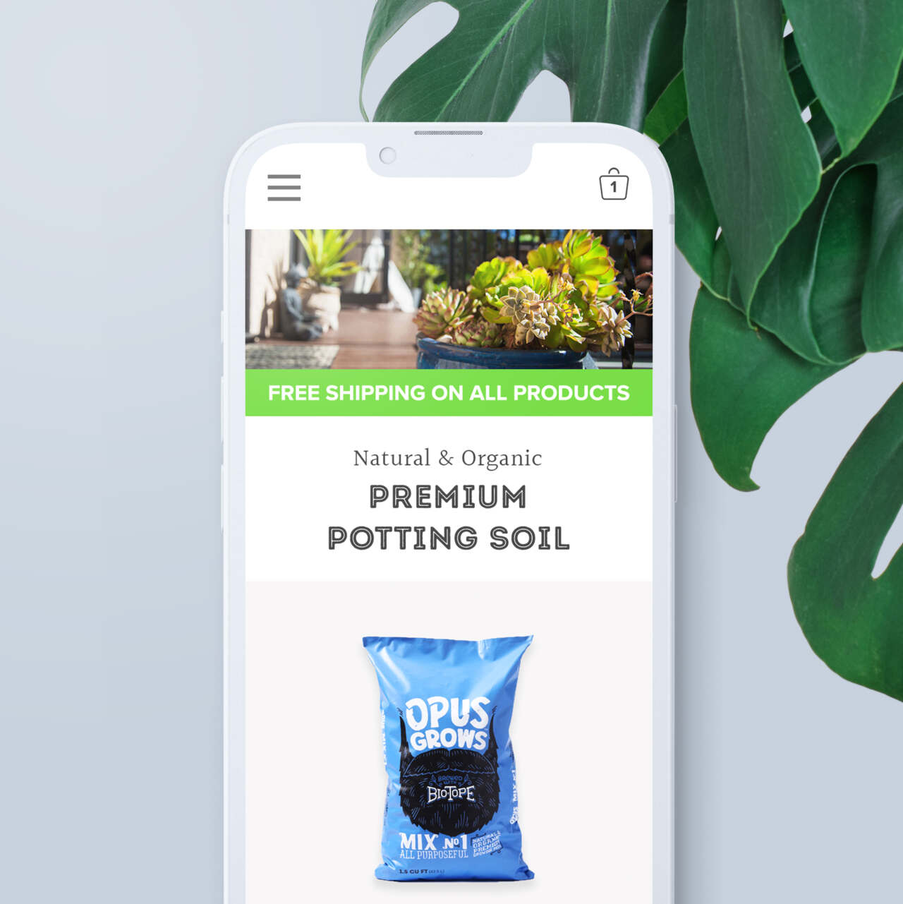 This image needs an alt tag.