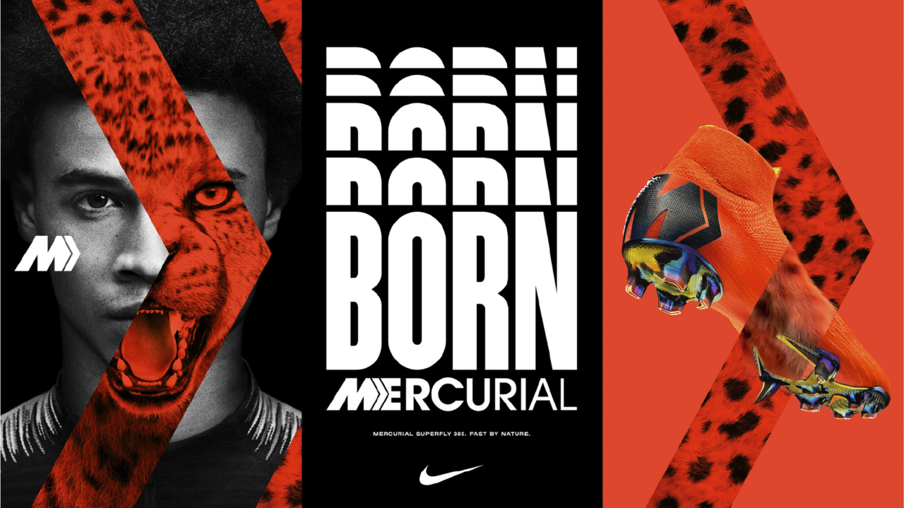 This image needs an alt tag.