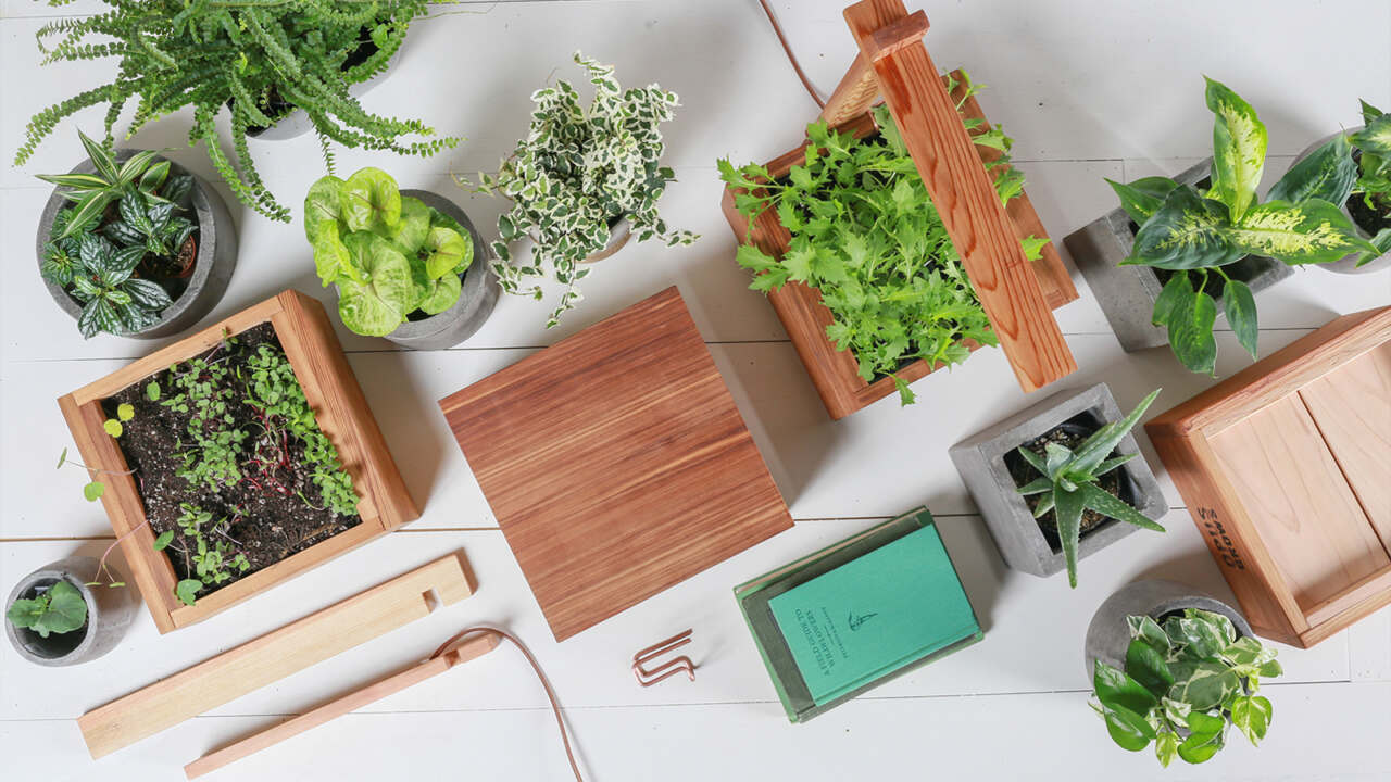 This image needs an alt tag.