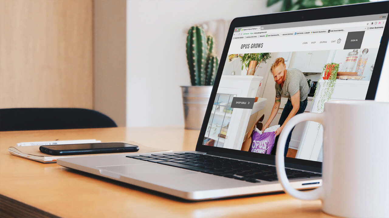 This image needs an alt tag.