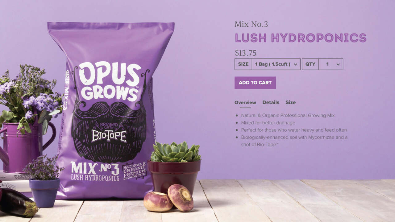 This image needs an alt tag.