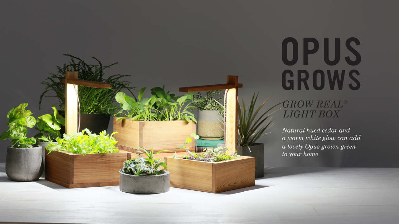 This image needs an alt tag.