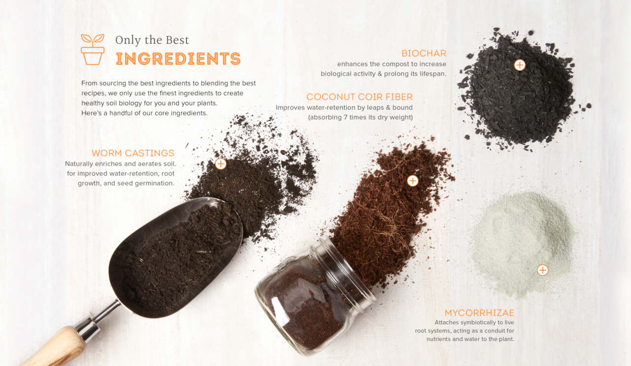 This image needs an alt tag.