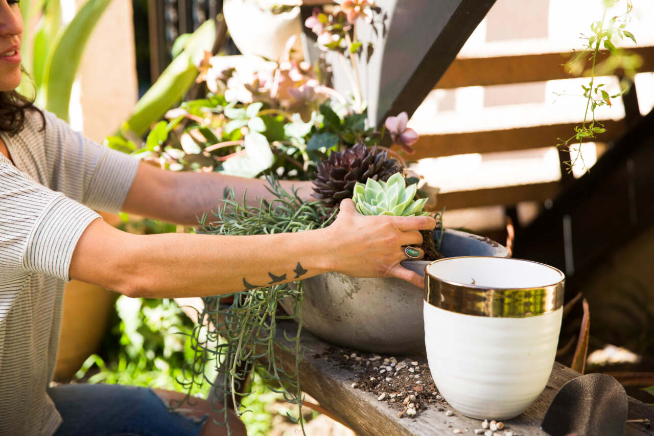 This image needs an alt tag.