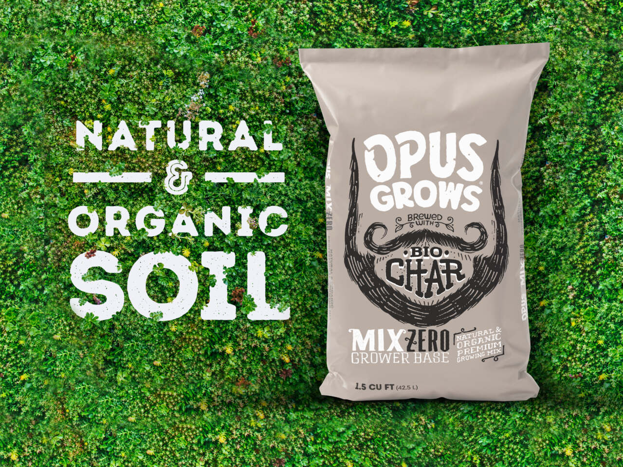 This image needs an alt tag.