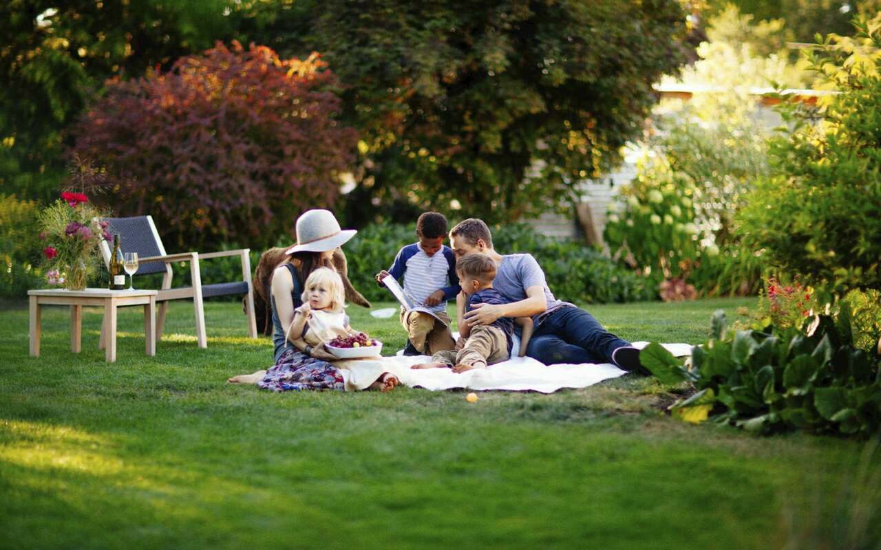 This image needs an alt tag.