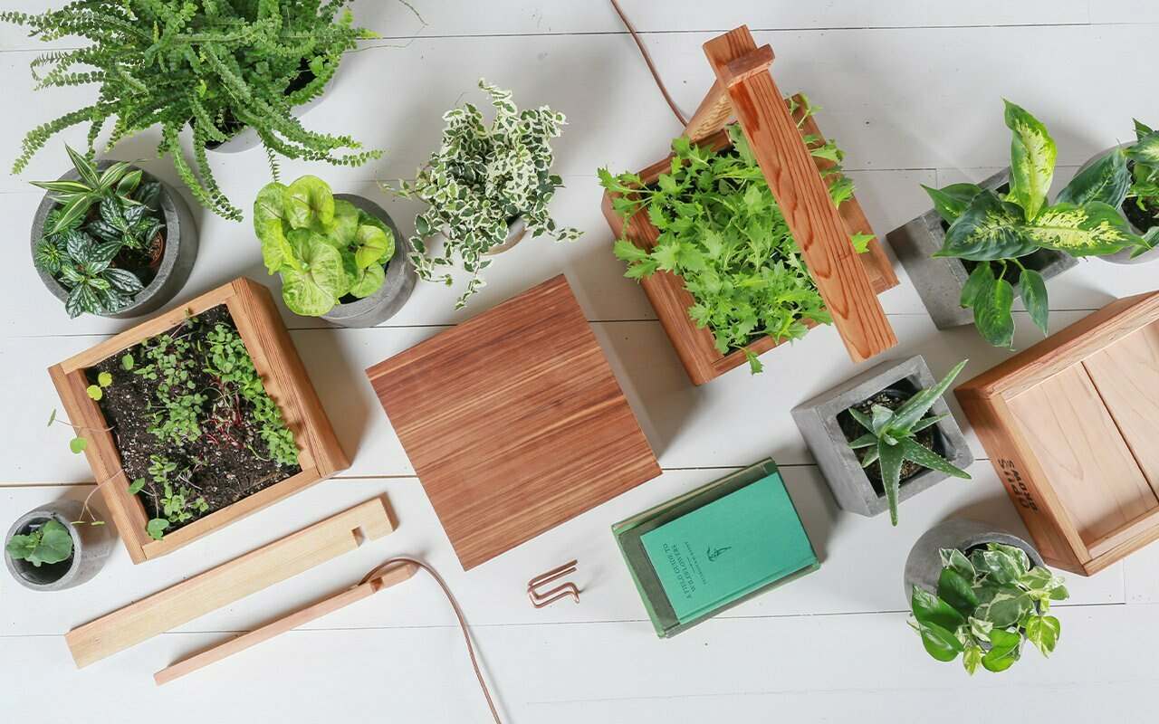 This image needs an alt tag.