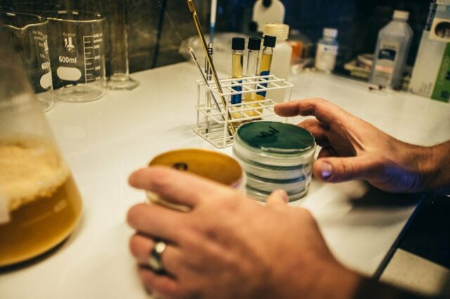 This image needs an alt tag.