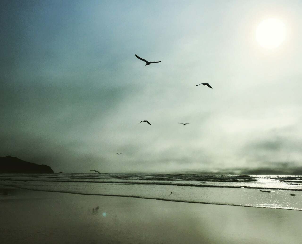 This image needs an alt tag.