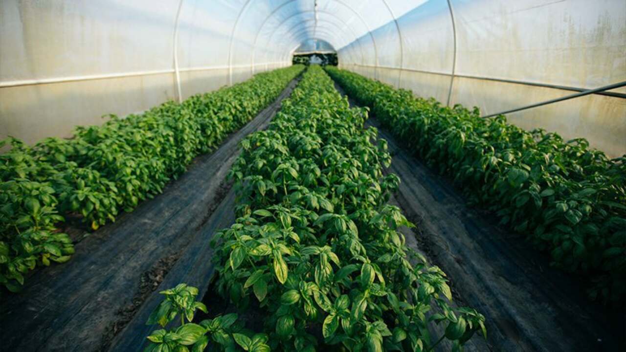 This image needs an alt tag.