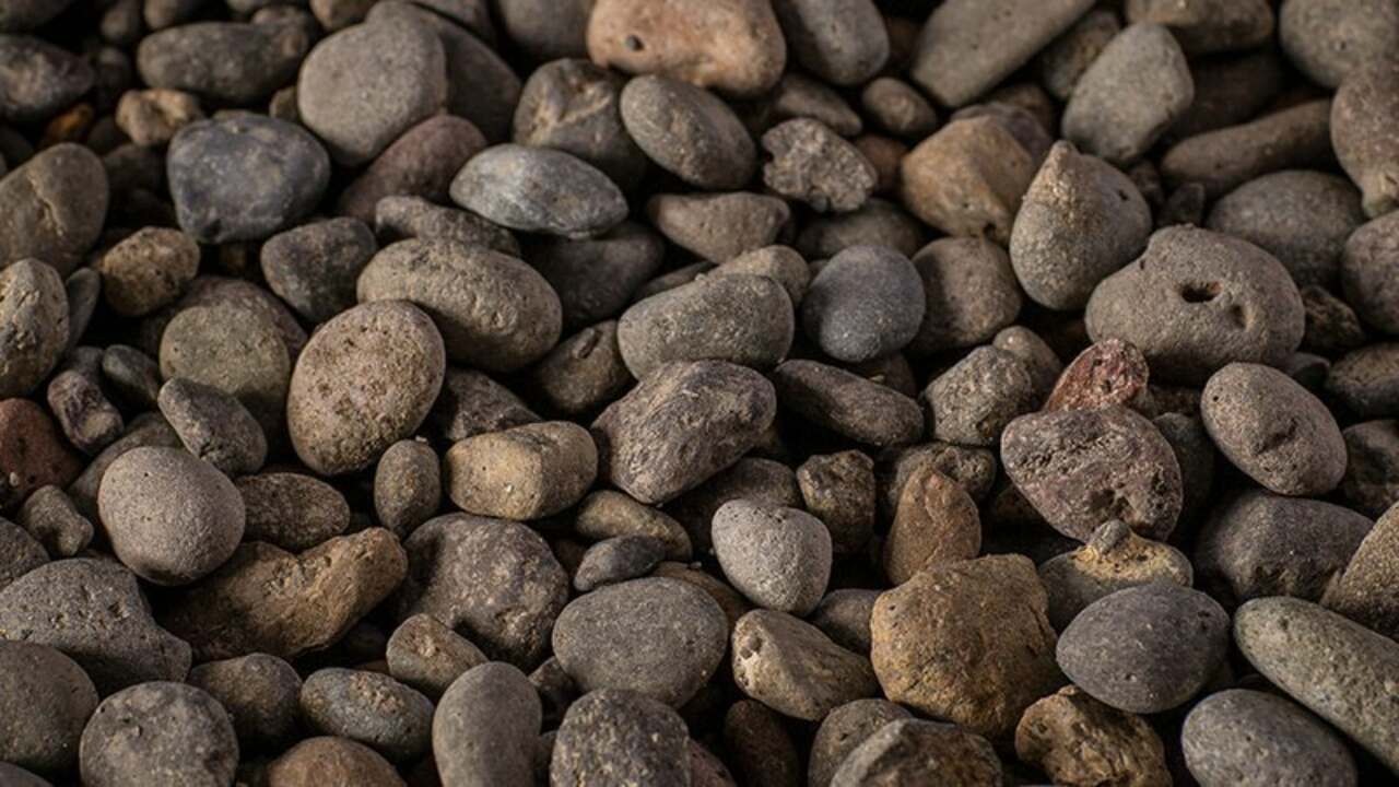 This image needs an alt tag.