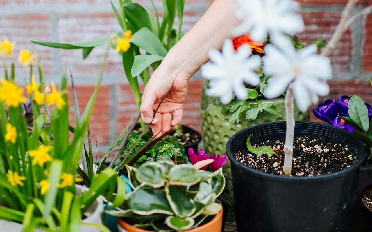 This image needs an alt tag.