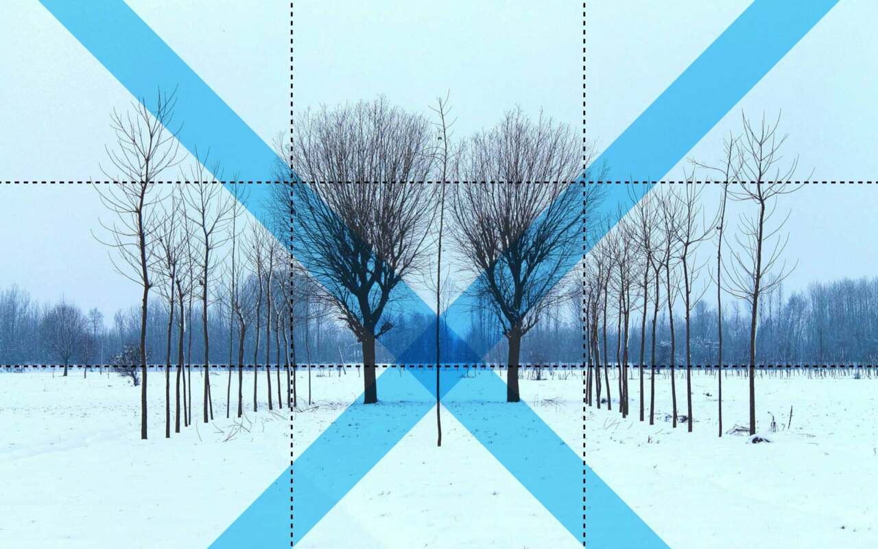 This image needs an alt tag.