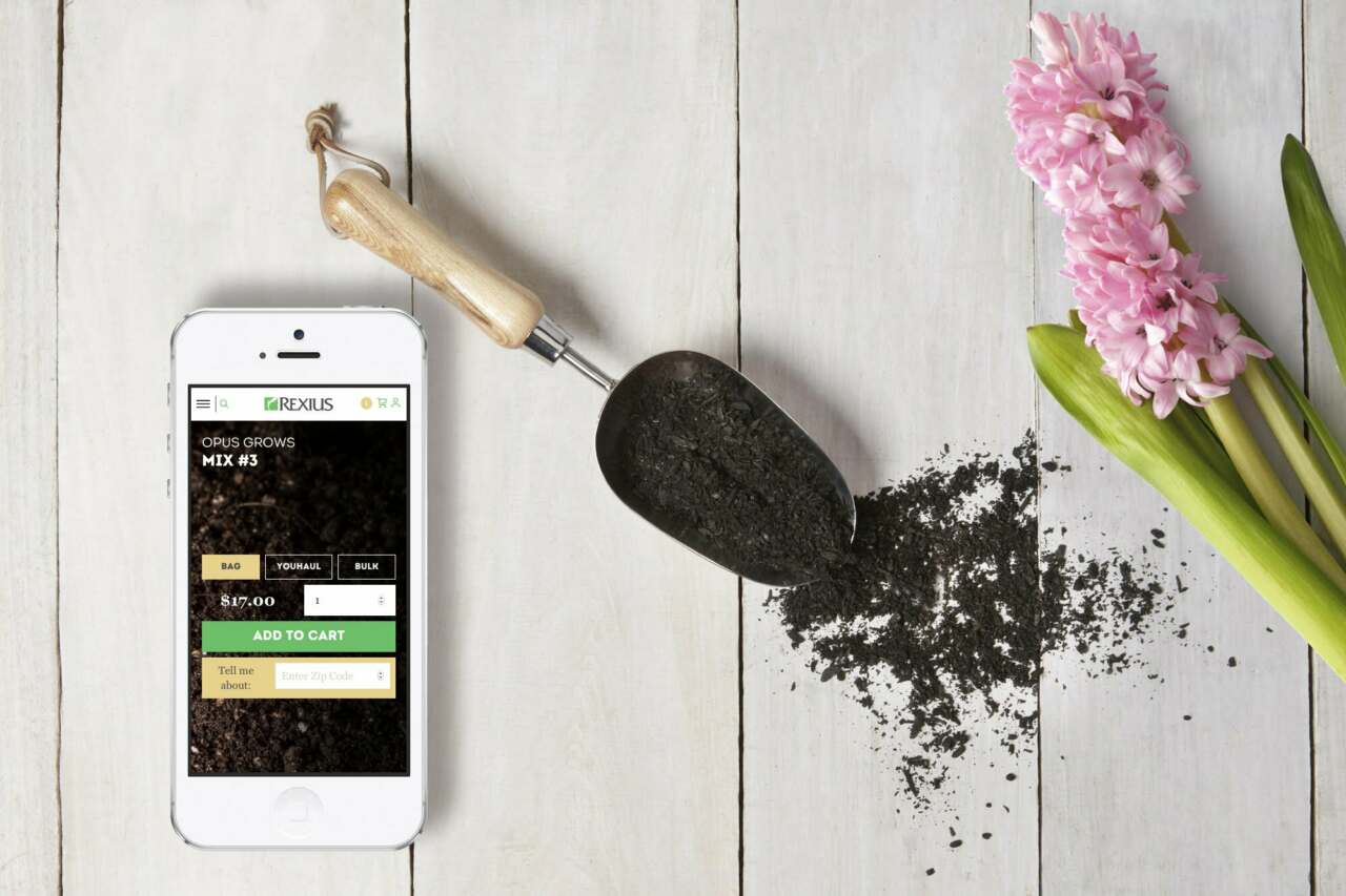 This image needs an alt tag.